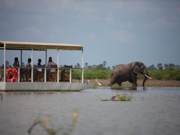 Selous Safari Camp - boat trip + elephant